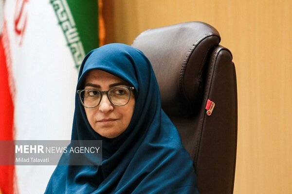 انصاری: با انبوهی از ترک فعل‌ها در اجرای قانون هوای پاک مواجه هستیم