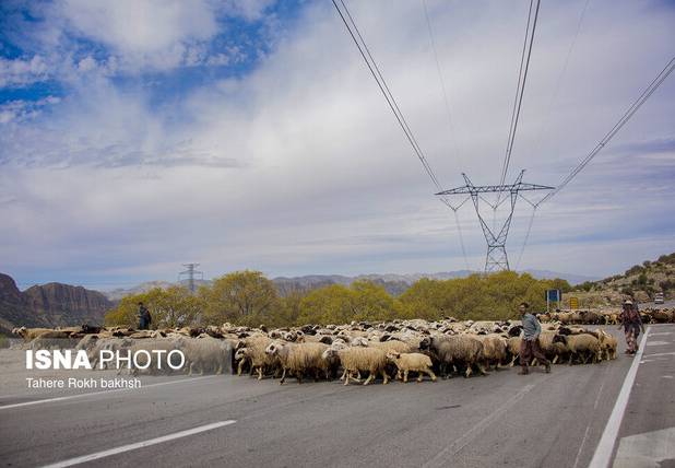 ۷۵۰ کیلومتر از ایلراه‌های آذربایجان‌غربی مرمت شد