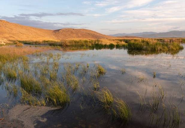 ورود بیش از ۸ میلیون مترمکعب آب به تالاب‌های کانی برازان و قوپی‌باباعلی مهاباد