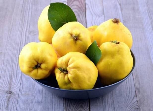 دو ژنوتیپ امیدبخش در مرکز تحقیقات آذربایجان‌غربی معرفی شد