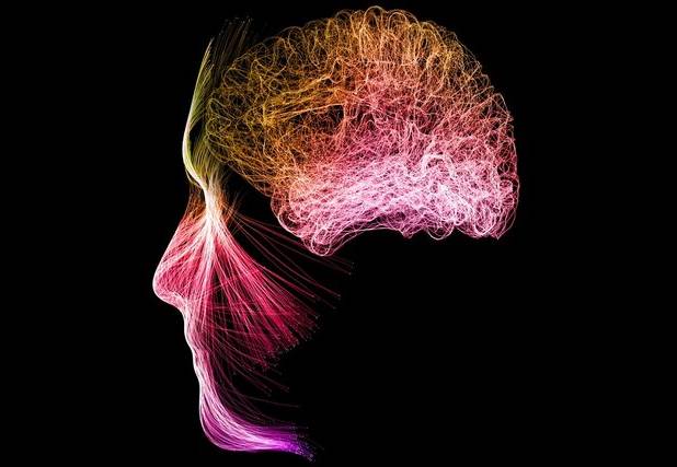 مدیتیشن فعالیت مغز را تغییر می‌دهد