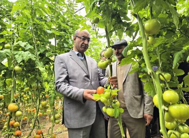 استاندار کرمانشاه: توسعه کشت‌های گلخانه‌ای یک ضرورت در استان است