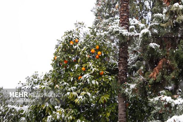 رحمان نیا: ورود سامانه بارشی به زنجان؛ هشدار سطح زرد صادر شد
