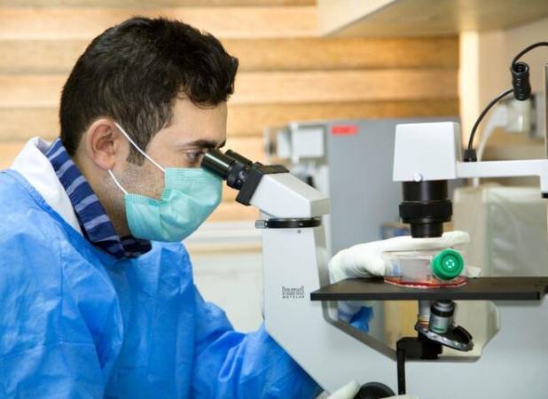 محمدی: طرح‌های فناورانه دانشگاه علوم پزشکی شیراز ۸۰ درصد افزایش یافت