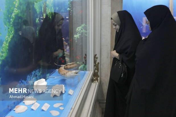 بازدید از موزه‌ها برای معلمان و اساتید دانشگاه رایگان است