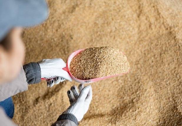 توقیف خودرو حامل ۲ تن خوراک دام بدون مجوز در الیگودرز