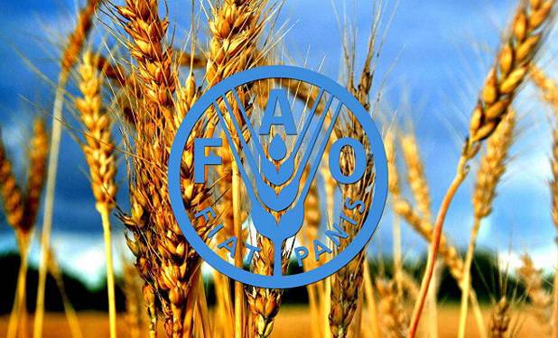 افزایش قیمت جهانی مواد غذایی طی ۱۰ ساله گذشته