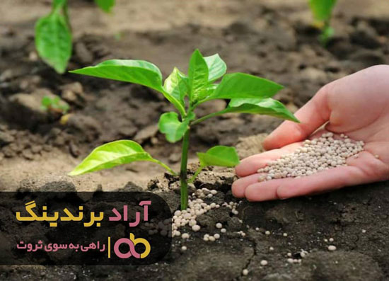 رنگی که کود به زندگی من داد