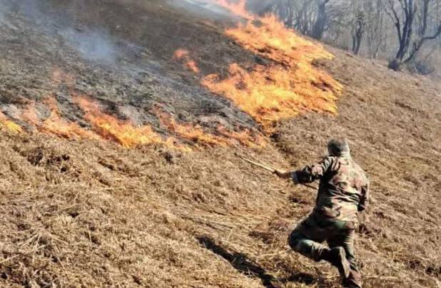 قمی: آتش‌سوزی در ۲ هکتار از اراضی جنگلی آستارا مهار شد  