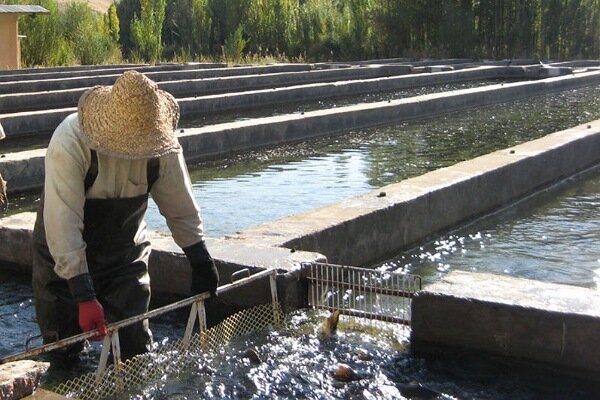 ظرفیت‌های منحصربه‌فرد گلستان برای سرمایه‌گذاری در آبزی‌پروری/ واگذاری زمین به متقاضیان
