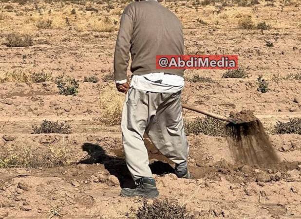 روزگار مردی که به او گفتند: خود دانید و مملکتتان