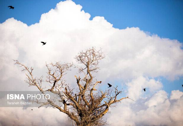 افزایش محسوس دما در گیلان تا ظهر پنجشنبه