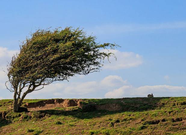 وقوع وزش باد شدید طی امروز و فردا در استان ایلام