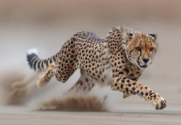  میاندشت خانه امن خانواده ۶ نفره هلیا