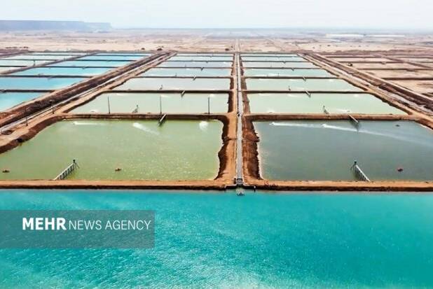 سرمایه‌گذاری ۱۳۰۰ میلیارد ریالی در طرح‌های شیلاتی سیریک