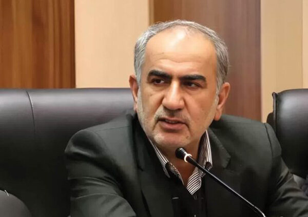 حذف ارز ترجیحی برای حفظ منابع کشور ضروری بود