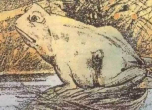 در نگاه اول به تصویر چه حیوانی را می‌بینید؟