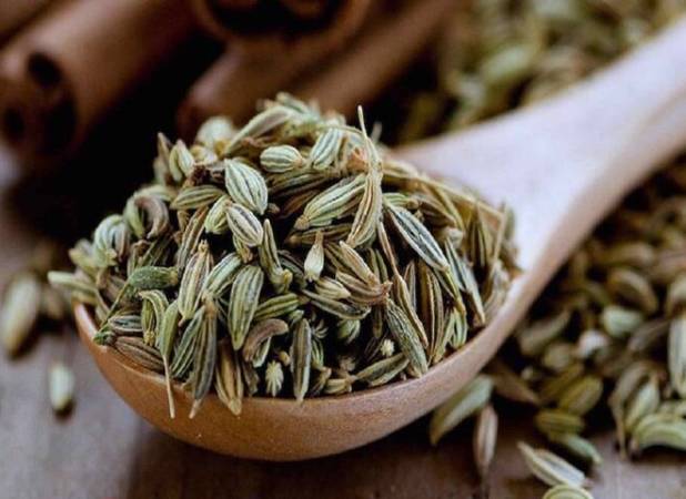 فروزانفر: ۹۷ درصد رازیانه کشور در همدان تولید می‌شود