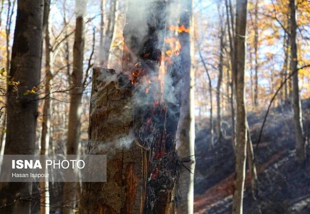 مهار حریق در اراضی جنگلی «واز» مازندران پیش از باران
