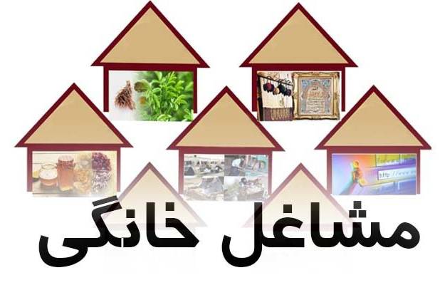 پیشران طرح ملی توسعه مشاغل خانگی لرستان، کارآفرین برتر شد