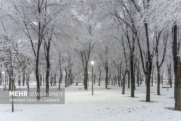 بوران برف و رعد و برق در شهر سهند