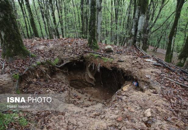 نهضت احیای منابع طبیعی در خراسان رضوی با گونه‌های مقاوم و مشارکت خیرین