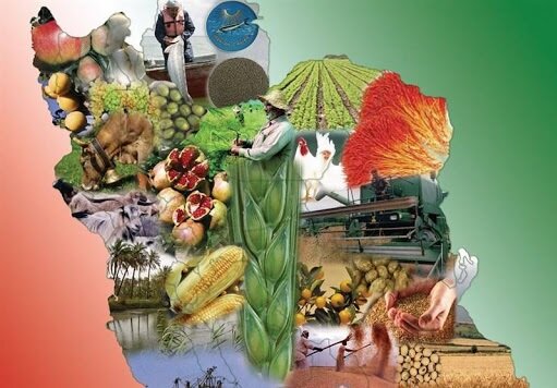 برنامه ۳۳ گانه فناورانه برای ایجاد امنیت غذایی در کشور