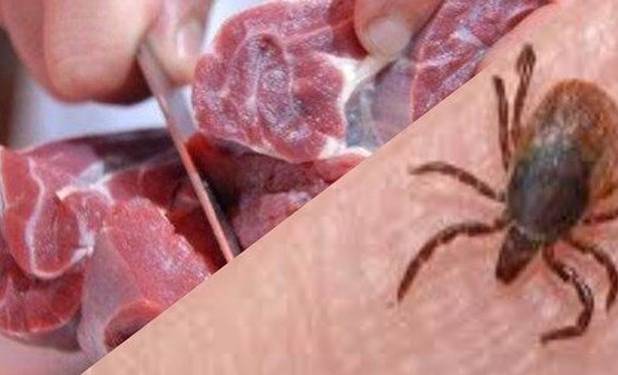 شناسایی بیمار مبتلا به تب کریمه کنگو در اردبیل