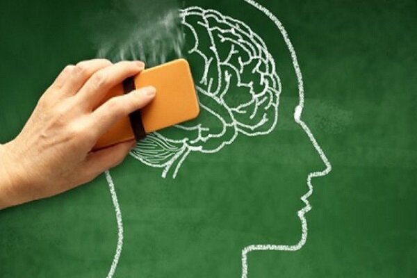  سبک زندگی راهکار اصلی پیشگیری از زوال عقل