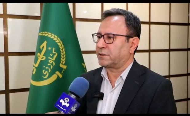 تولید و توزیع پایدار گوشت مرغ در لرستان/ عرضه بیش از ۸ هزار و ۳۶۵ تن در بهمن سال جاری