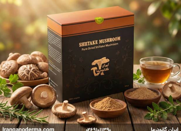 تقویت سیستم ایمنی و پیشگیری از بیماری‌ها با قارچ شیتاکه
