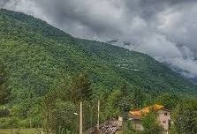 درخواست لغو مجوز گردشگری در جنگل هیرکانی "لزیر"