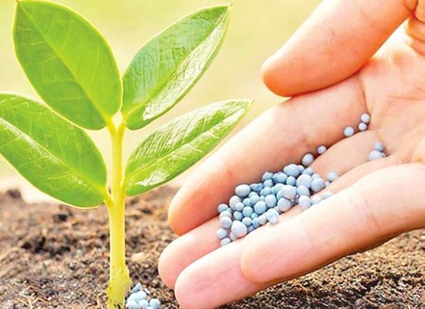 نظارت بر نهاده‌های کشاورزی تقویت می‌شود