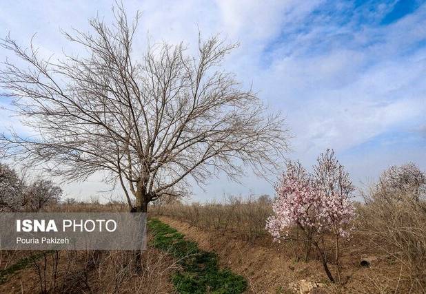 پایداری هوای گیلان تا پس فردا