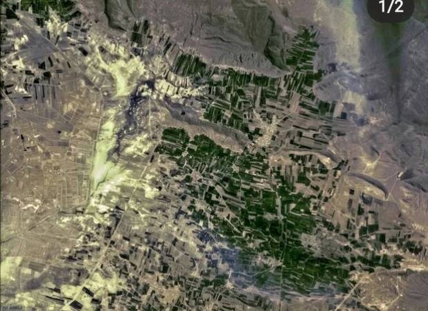 مطالعه پژوهشگر ایرانی دانشگاه تربیت مدرس جهانی شد؛ علفزارها مخزن کربن