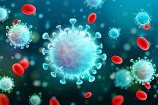 برنامه‌های بین‌المللی گردشگری پایدار در پساکرونا بررسی شد