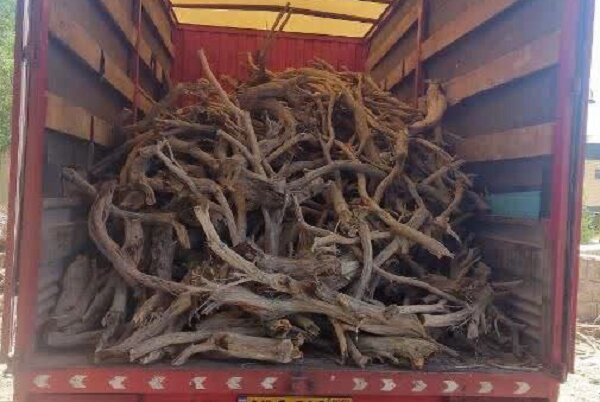 کشف محموله قاچاق تاغ در بسطام؛ خودرو سواری توقیف شد