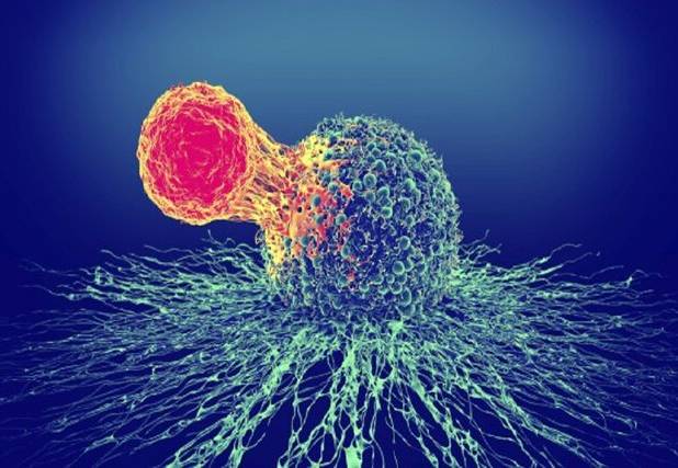 انکار بیماری مانع مهم درمان به‌موقع سرطان است