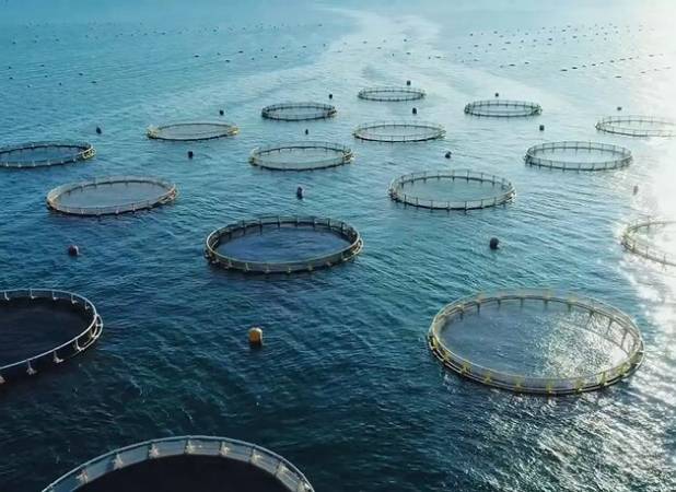 ماهی‌گیری اوقاف از صنعتی جدید در خلیج فارس؛ شوتی‌هایی که صیاد شدند