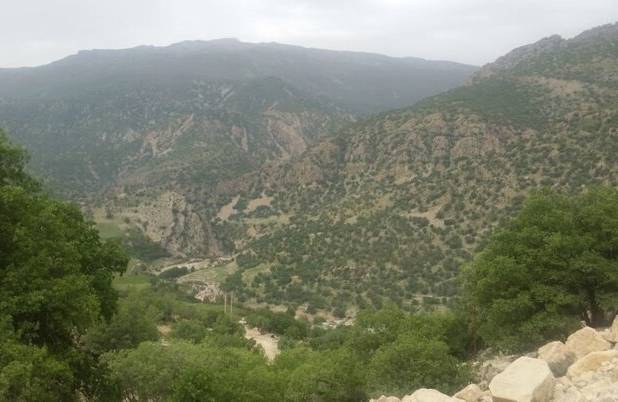 ۳۳۸متر از اراضی منطقه حفاظت شده مله گاله شیراز رفع تصرف شد