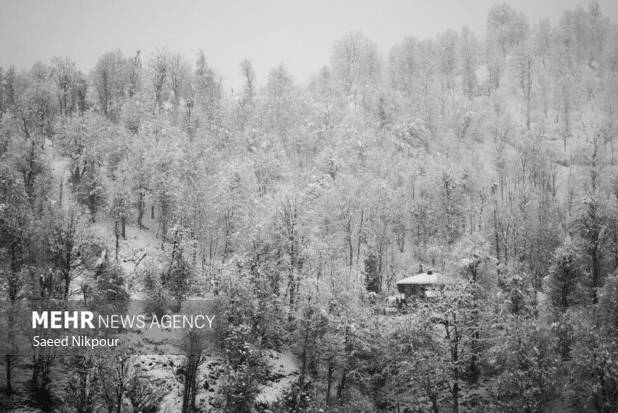 سفیدپوشی کم سابقه ارتفاعات گیلان؛ برف یک و نیم متری در اشکورات