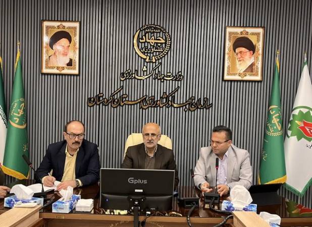 سال زراعی جاری در غرب کشور با ریسک بالای سن‌زدگی گندم مواجه است