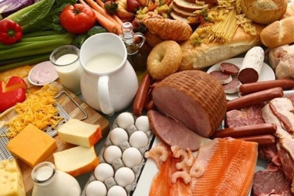 ۹ طرح حوزه امنیت غذایی به نمایش گذاشته شد