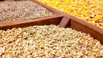 وزارت نفت نتوانست ارز واردات کالاهای اساسی را بپردازد
