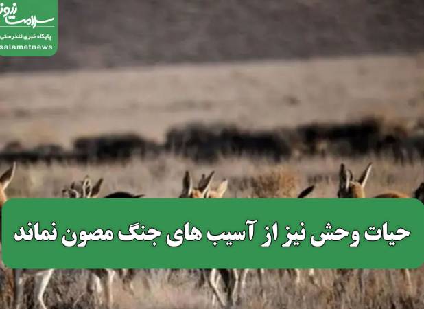 حیات وحش نیز از آسیب های جنگ مصون نماند
