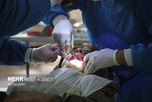 نتایج نهایی آزمون ملی دانش‌آموختگان دندانپزشکی خارج از کشور اعلام شد