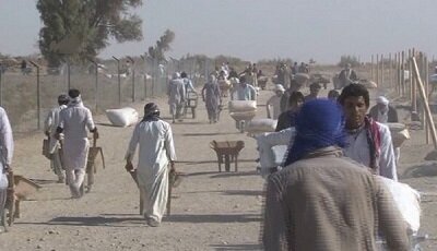 ضرورت اجرای فوری مصوبه واردات کالاهای اساسی برای پیله‌وران و تعاونی‌های مرزی