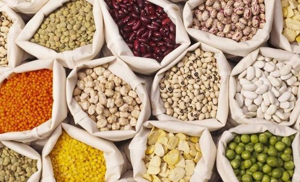 کاهش تولید حبوبات در استان خراسان رضوی