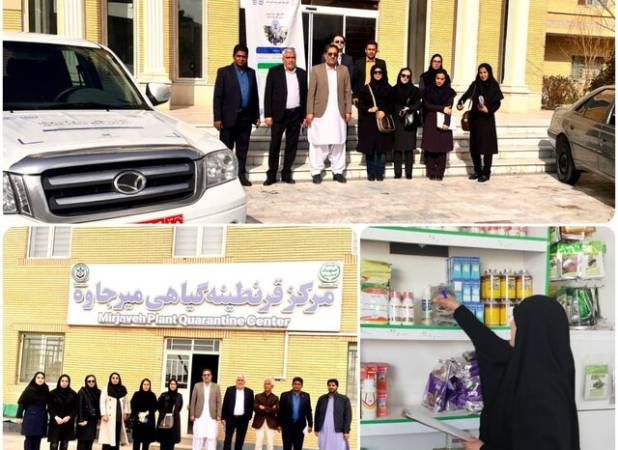 برگزاری رزمایش سراسری حفظ نباتات در سیستان و بلوچستان