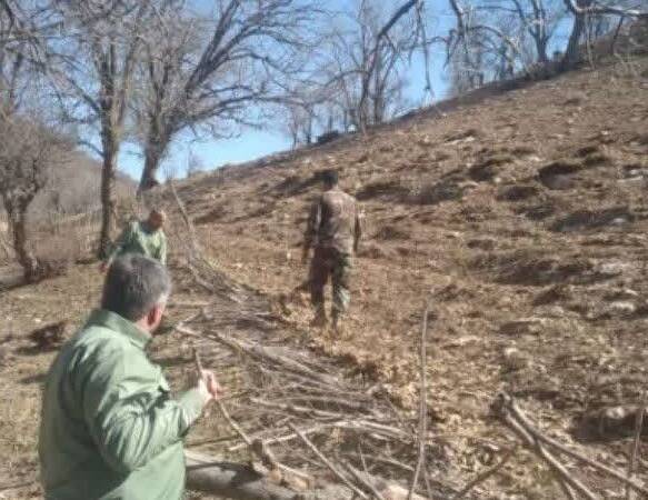 آزادسازی ۴ قطعه از اراضی ملی در خرم‌آباد